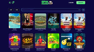 Examen général de l'établissement de jeu Spinanga